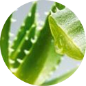 Mask group (4).png